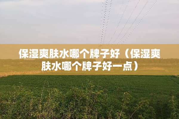 保湿爽肤水哪个牌子好（保湿爽肤水哪个牌子好一点）