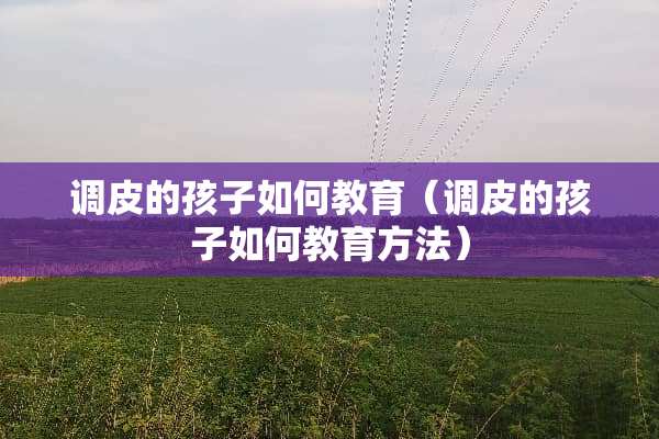 调皮的孩子如何教育（调皮的孩子如何教育方法）