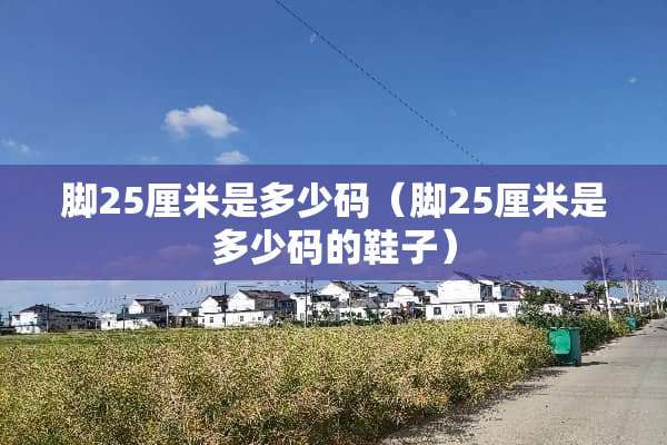 脚25厘米是多少码（脚25厘米是多少码的鞋子）