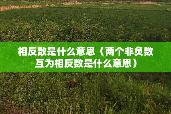 相反数是什么意思（两个非负数互为相反数是什么意思）