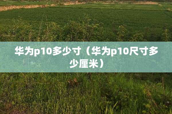 华为p10多少寸（华为p10尺寸多少厘米）