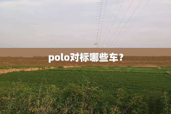 polo对标哪些车？