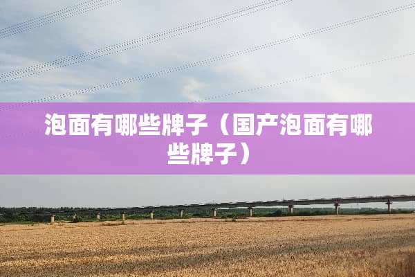 泡面有哪些牌子（国产泡面有哪些牌子）