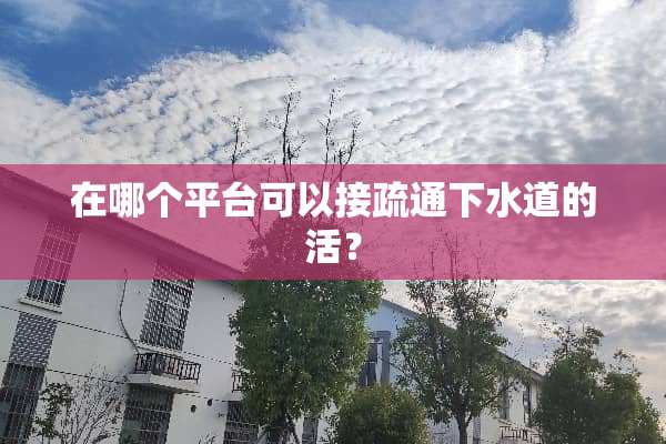 在哪个平台可以接疏通下水道的活？