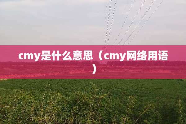 cmy是什么意思（cmy网络用语）