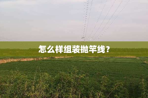 怎么样组装抛竿线？