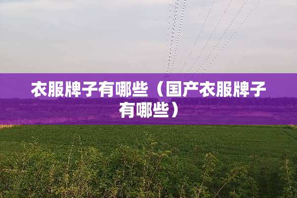 衣服牌子有哪些（国产衣服牌子有哪些）