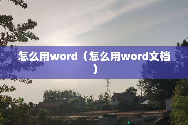 怎么用word（怎么用word文档）