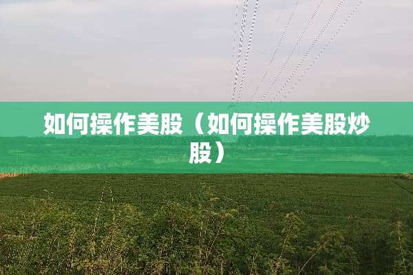 如何操作美股（如何操作美股炒股）