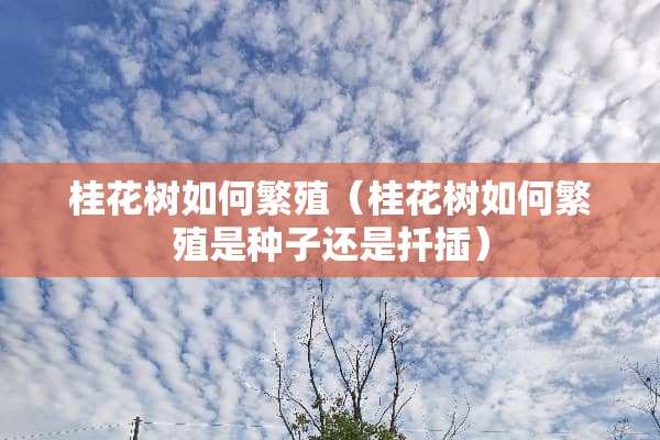 桂花树如何繁殖（桂花树如何繁殖是种子还是扦插）