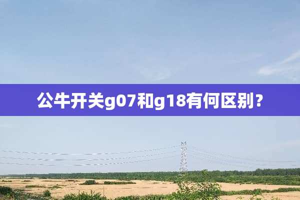 公牛开关g07和g18有何区别？