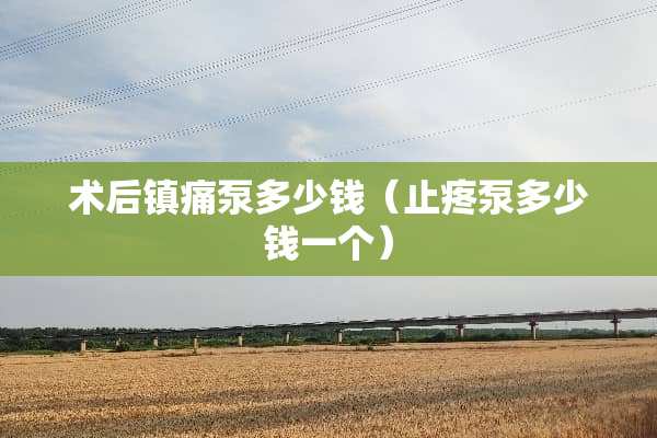 术后镇痛泵多少钱（止疼泵多少钱一个）