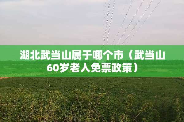 湖北武当山属于哪个市（武当山60岁老人免票政策）