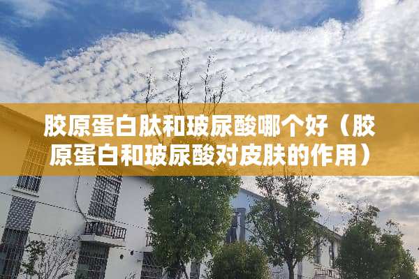 胶原蛋白肽和玻尿酸哪个好（胶原蛋白和玻尿酸对皮肤的作用）