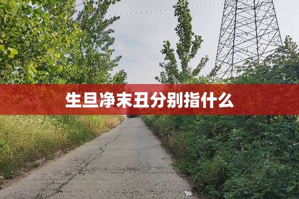 生旦净末丑分别指什么