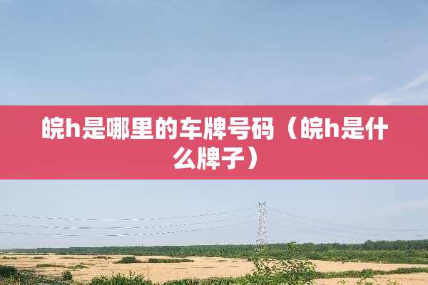 皖h是哪里的***码（皖h是什么牌子）