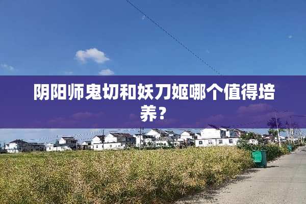 *阳师鬼切和妖刀姬哪个值得培养？