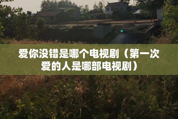 爱你没错是哪个电视剧（第一次爱的人是哪部电视剧）