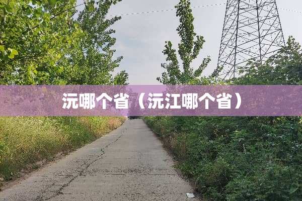 沅哪个省（沅江哪个省）