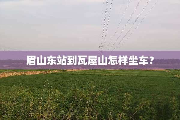 眉山东站到瓦屋山怎样坐车？