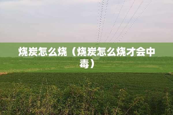 烧炭怎么烧（烧炭怎么烧才会中毒）
