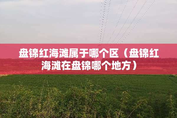 盘锦红海滩属于哪个区（盘锦红海滩在盘锦哪个地方）