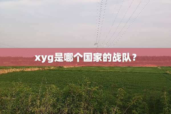 xyg是哪个国家的战队？