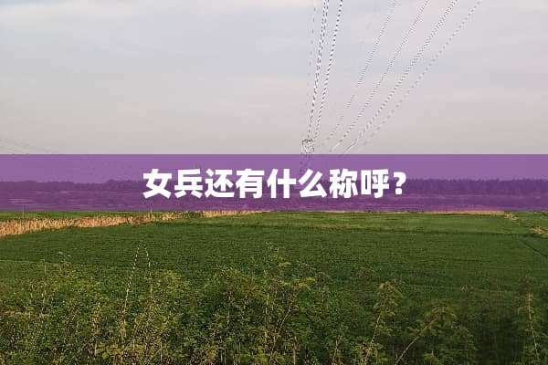 女兵还有什么称呼？
