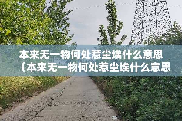 本来无一物何处惹尘埃什么意思（本来无一物何处惹尘埃什么意思?）