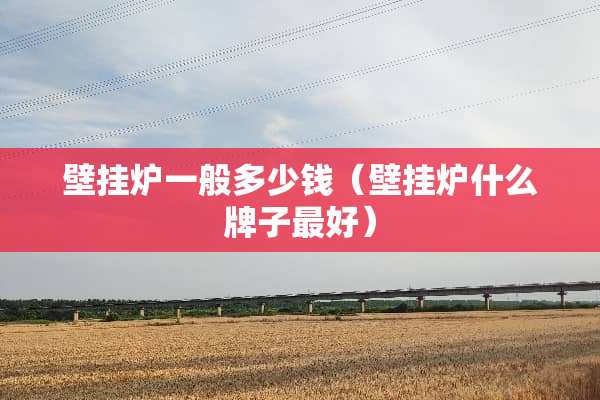 壁挂炉一般多少钱（壁挂炉什么牌子最好）