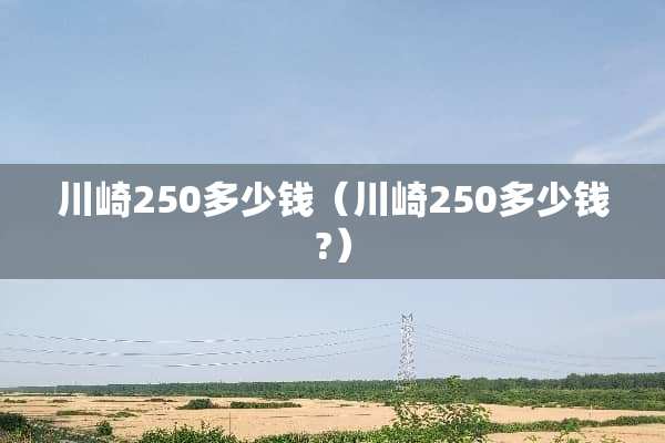 川崎250多少钱（川崎250多少钱?）