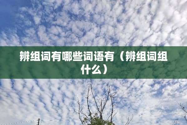 辨组词有哪些词语有（辨组词组什么）
