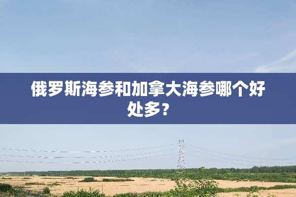俄罗斯海参和加拿大海参哪个好处多？