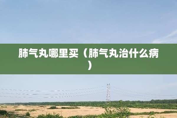 肺气丸哪里买（肺气丸治什么病）