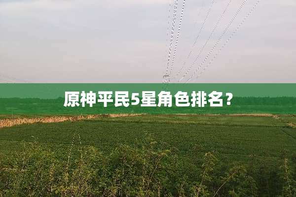 原神平民5星角色排名？