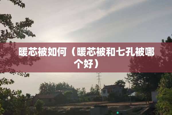 暖芯被如何（暖芯被和七孔被哪个好）
