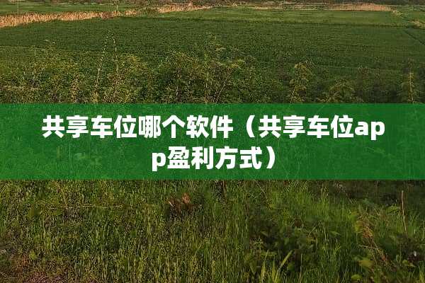 共享车位哪个软件（共享车位app盈利方式）