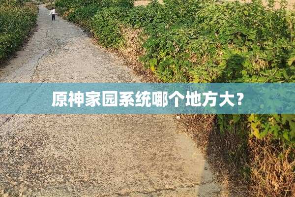 原神家园系统哪个地方大？