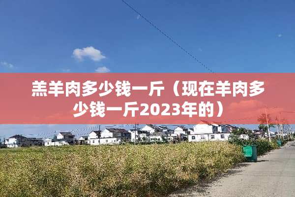 羔羊肉多少钱一斤（现在羊肉多少钱一斤2023年的）