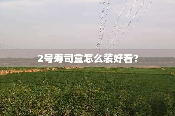2号寿司盒怎么装好看？