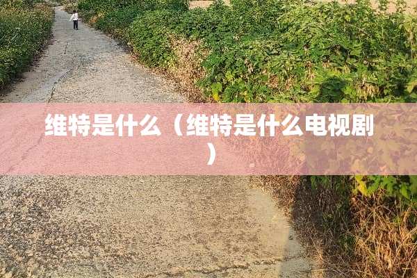 维特是什么（维特是什么电视剧）