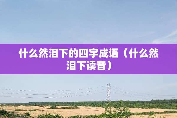 什么然泪下的四字成语（什么然泪下读音）