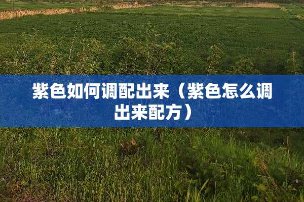 紫色如何调配出来（紫色怎么调出来配方）