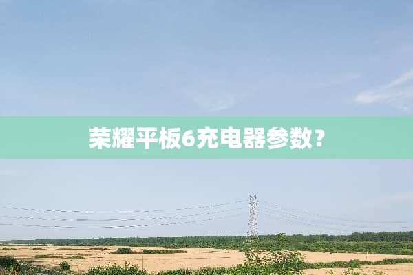 荣耀平板6充电器参数？
