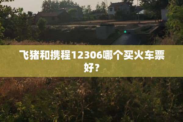 飞猪和携程12306哪个买火车票好？