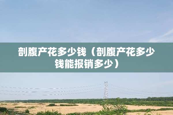 剖腹产花多少钱（剖腹产花多少钱能报销多少）