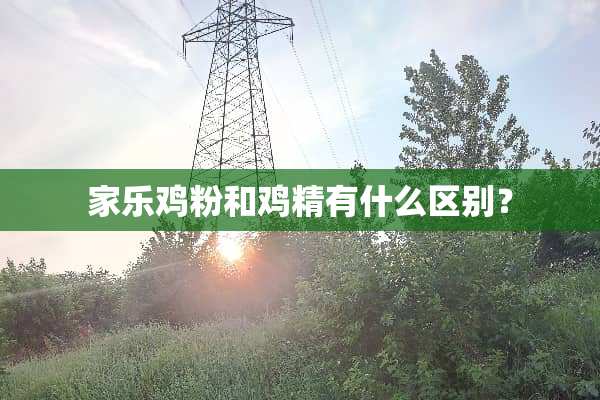 家乐鸡粉和鸡精有什么区别？