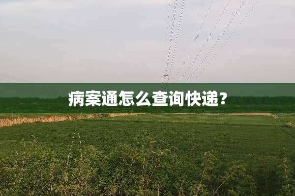 病案通怎么查询快递？