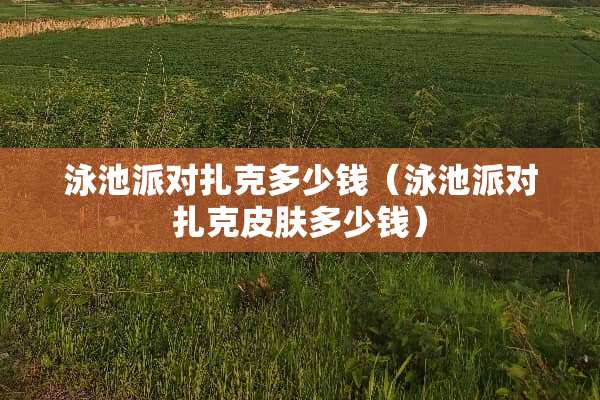 泳池派对扎克多少钱（泳池派对扎克皮肤多少钱）