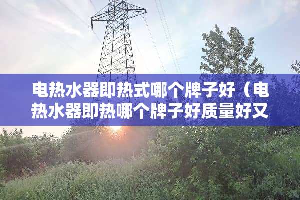 电热水器即热式哪个牌子好（电热水器即热哪个牌子好质量好又安全）